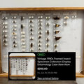 Sold: vintage 1980s framed insect specimen collection display case